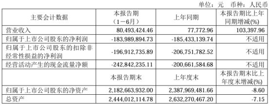 亚虹医药2024年上半年营收804934万医疗器械申报并实现的收益基数较低(图1)