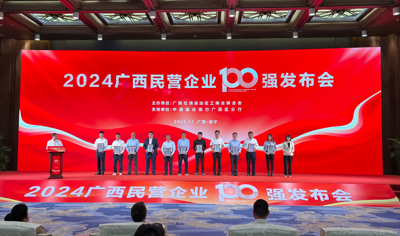 2024广西民营企业100强榜单发布